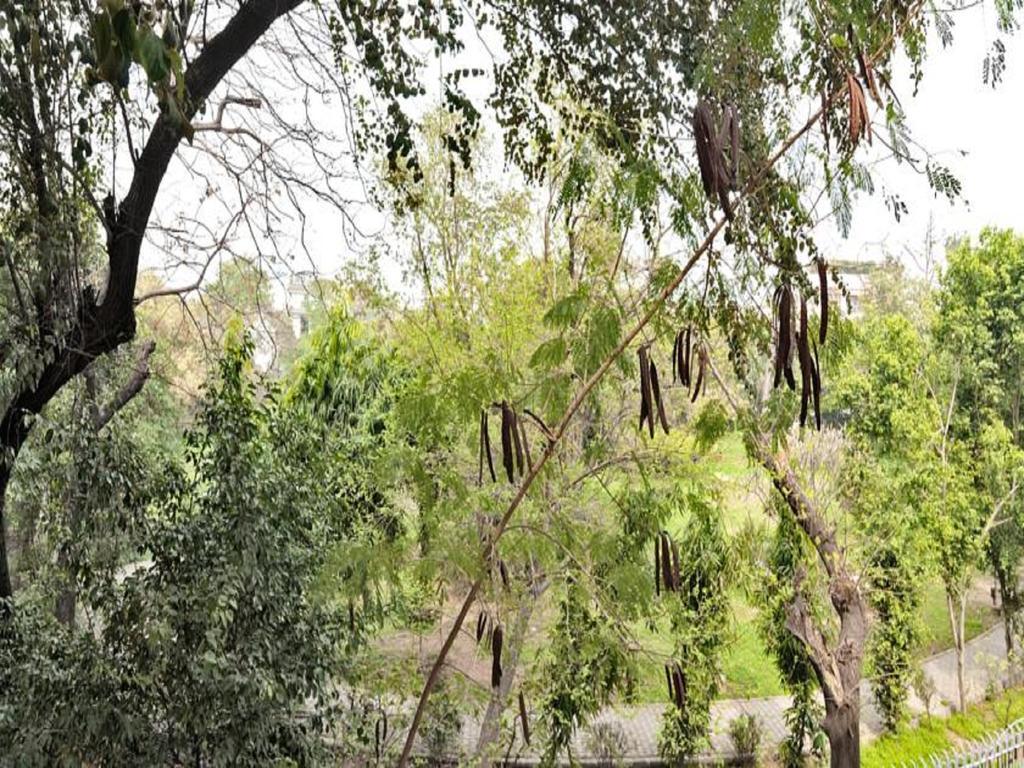 Haveli Hauz Khas Bed & Breakfast New Delhi Cameră foto