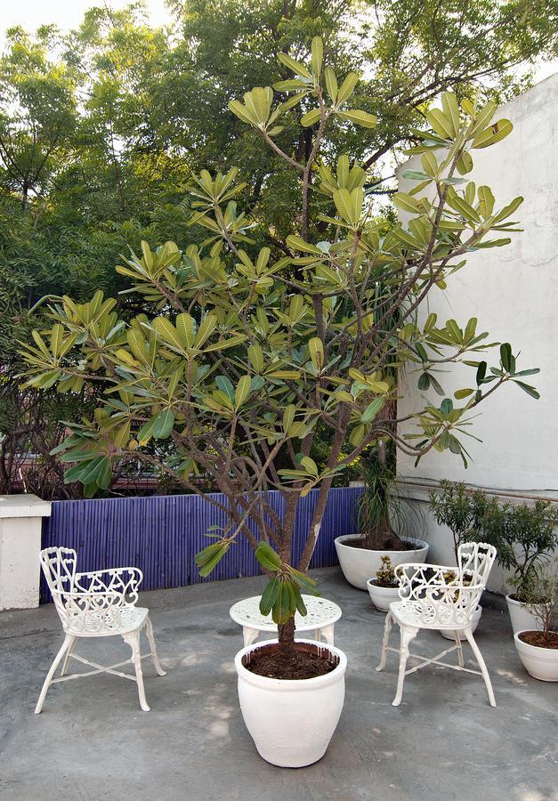 Haveli Hauz Khas Bed & Breakfast New Delhi Exterior foto